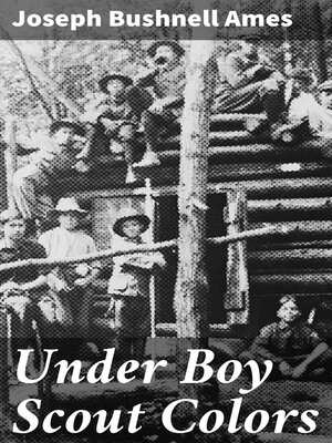 cover image of Under Boy Scout Colors